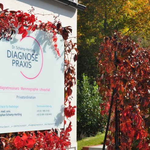 Praxis-Schild der Diagnosepraxis Dr. Schamp-Hertling, umrahmt von roten Herbstblättern, mit blauem Himmel und grünen Bäumen im Hintergrund.