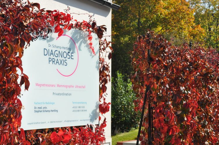 Praxis-Schild der Diagnosepraxis Dr. Schamp-Hertling, umrahmt von roten Herbstblättern, mit blauem Himmel und grünen Bäumen im Hintergrund.